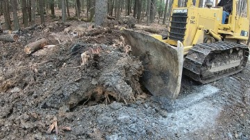 Clearing land with a dozer