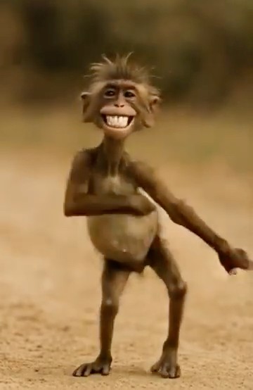 Monkey Dance
