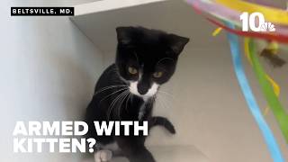 Man Attempts Bank Robbery While Holding Kitten, Police Say