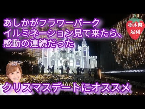 クリスマスデートにオススメ「あしかがフラワーパーク」イルミネーション見てきたら感動の連続だった