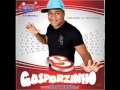 Vai no Cavalinho-   Banda Gasparzinho