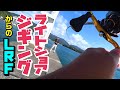 ライトショアジギングからのライトロックフィッシュ！LSJ→LRF
