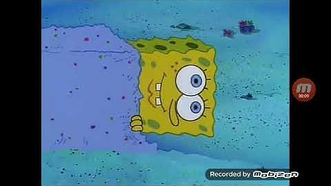 Spongebob spiders clips