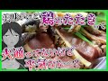 【鳥刺し】九州民、鶏肉生で食いがち問題！？鳥のたたき＆鶏の炭火焼で九州風鶏晩酌！【268】