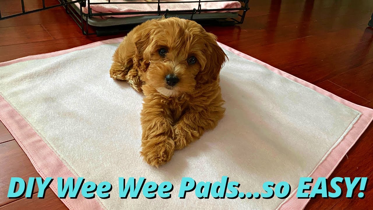 DIY Home Decor on a Budget Series: Reusable Puppy Pads  Puppy pads, Washable  puppy pads, Diy home decor on a budget