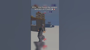 These FiveM Aimbot Settings Made Me UNSTOPPABLE!