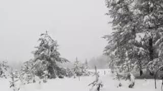 y2mate com    No Copyright  Soft Piano Music For Relaxation  Snowing Background  Relax Music Meditat screenshot 3