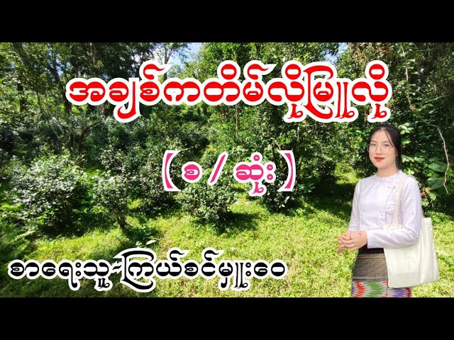 အချစ်ကတိမ်လိုမြူလို ( စ / ဆုံး ) စာရေးသူ-ကြယ်စင်မှူးဝေ class=