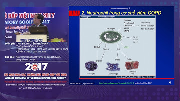 Báo cáo: Nền viêm trong COPD và vai trò của ICS LABA trong điều trị COPD