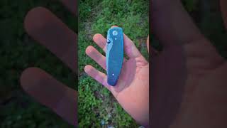 A Fantastic Edc Folder With Custom Dyed Scales