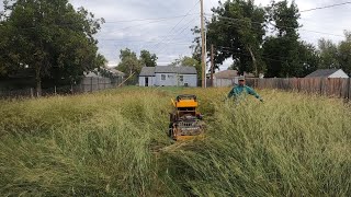 Neighbors were happy to see me mowing this yard by Josh's lawn service 12,931 views 5 months ago 7 minutes, 37 seconds