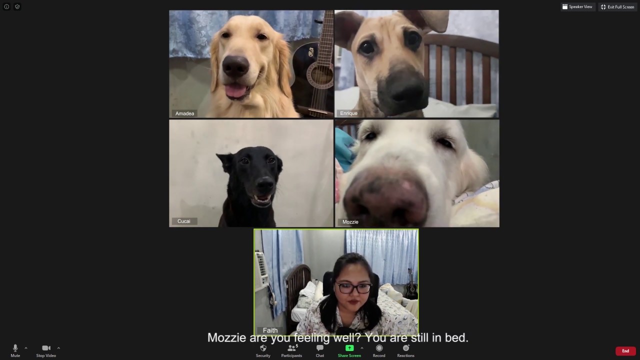 free meeting like zoom free meeting like zoom