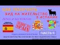 Как получить вид на жительство в Испании легко и бесплатно. Часть 1. ВНЖ для воссоединения семьи.