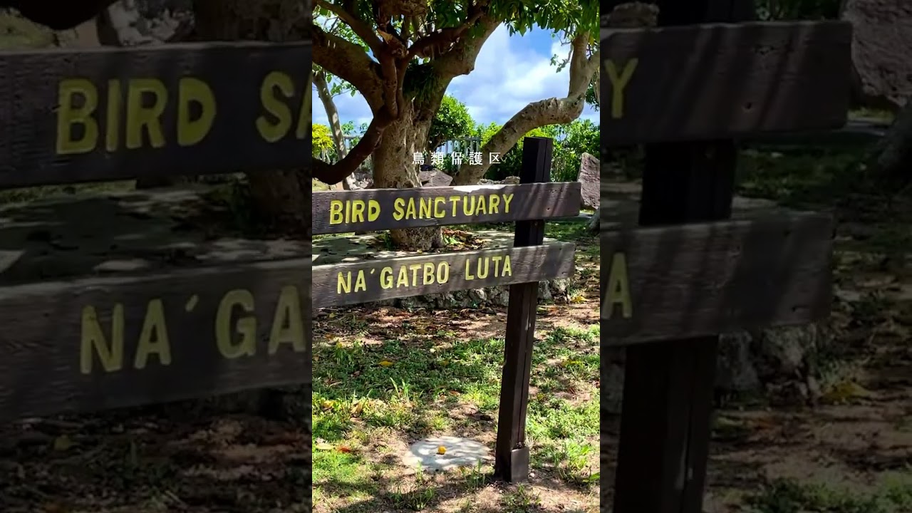 Top 5 things to do in Rota