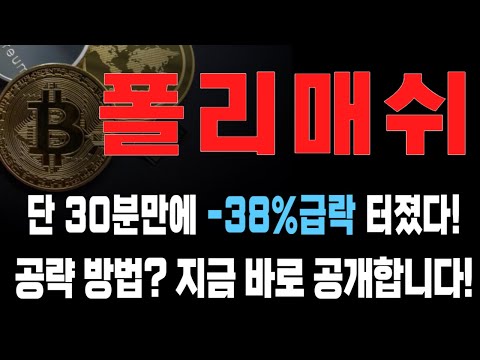   폴리매쉬 코인 단 30분만에 38 급락 터졌다 공략 방법 지금 바로 공개합니다