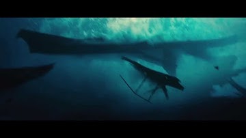 Rust and Bone Theatrical Trailer