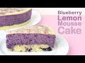 BLUEBERRY LEMON MOUSSE CAKE RECIPE | DIY Dessert | So Yummy Tasty and Delicious Cake | Baking Cherry