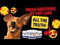 FRESH BREATHIES REVIEWS (USA) Is Pup Labs Fresh Breathies Safe & Legit? Fresh Breathies Review 2022