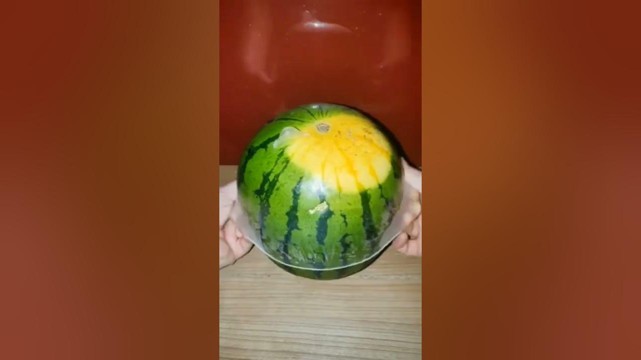 Durability test of condom with watermelon - YouTube