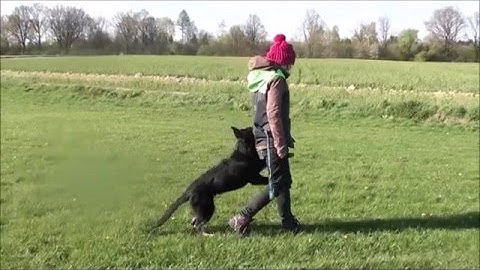 LANS AE- Enter 5 months