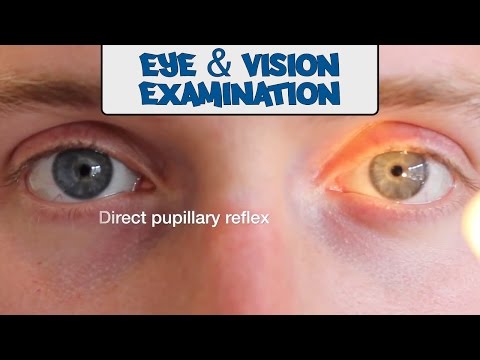 Examination of the Eyes and Vision - OSCE Guide