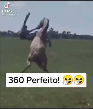 360 Perfeito! 🤧🤧