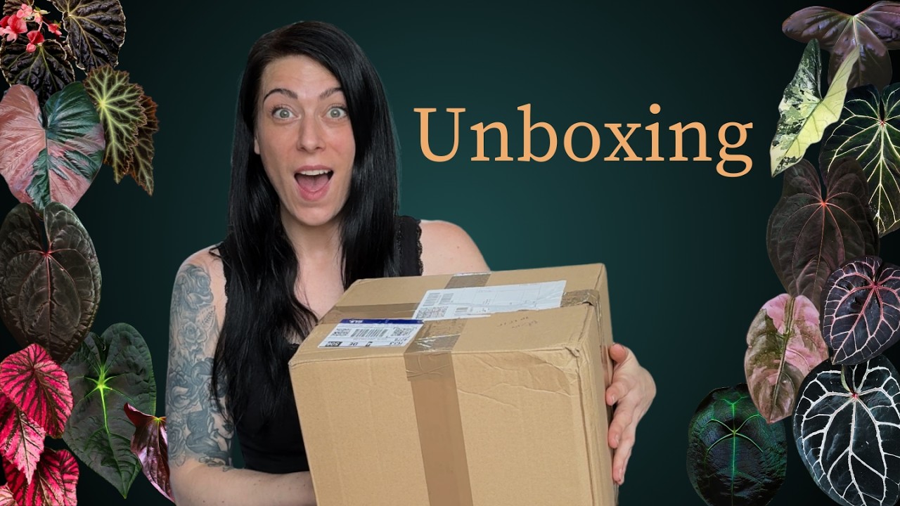 UNBOXING seltener Pflanzen - mit dieser Überrauschung habe ich bei diesem Haul nicht gerechnet