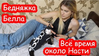 VLOG Настя собирается в Италию на всё лето. Белла после операции