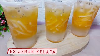 How To Make Coconut Orange Ice A Trendy Drink  A Popular Sales Idea With Economical Capital