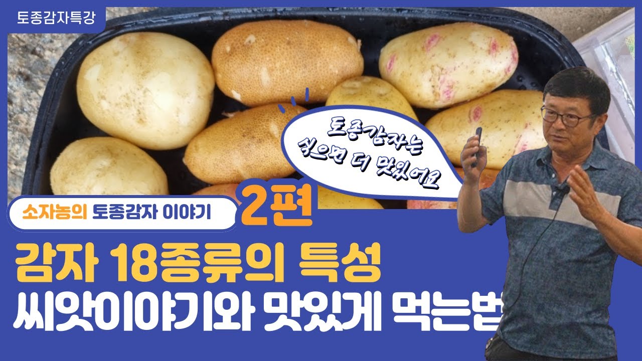 [토종감자특강 - 2] 18종류 감자의 특성, 씨앗이야기, 맛있게 먹는 법, 뻘겅감자, 남작감자, 눈뻘게감자, 임실감자, 울릉도 ...