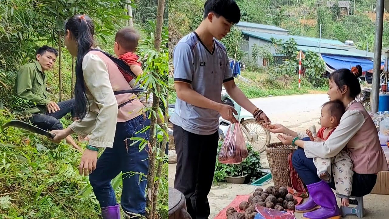 The single mother went into the forest to pick fruit to sell, and her ...