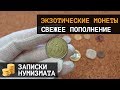 Экзотические монеты мира. Записки нумизмата