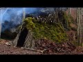 Один день Бушкрафт в лесу | Строим укрытие из мха