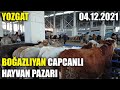 YOZGAT BOĞAZLIYAN HAYVAN PAZARI | BU PAZARA GELMENİZİ TAVSİYE EDİYORUM