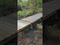 With OSG (Oneonta Susquehanna Greenway) building a bridge on the Roundhouse Trailv