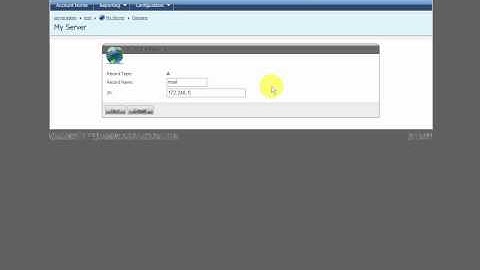 Edit DNS Records in WebsitePanel