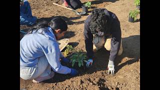 A Journey in Conservation