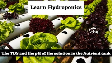 The TDS and the pH of the solution in the Nutrient tank || Learn Hydroponics #hydroponic #organic