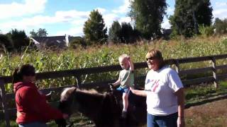 Cooper pony ride