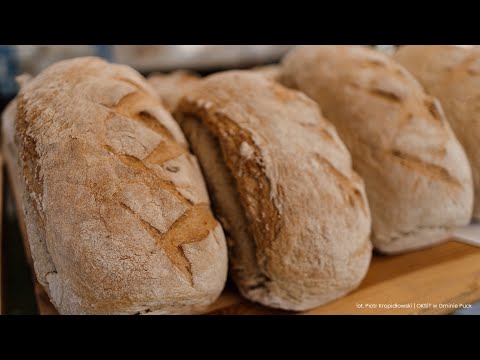 Święto Chleba 2023 w Sławutowie