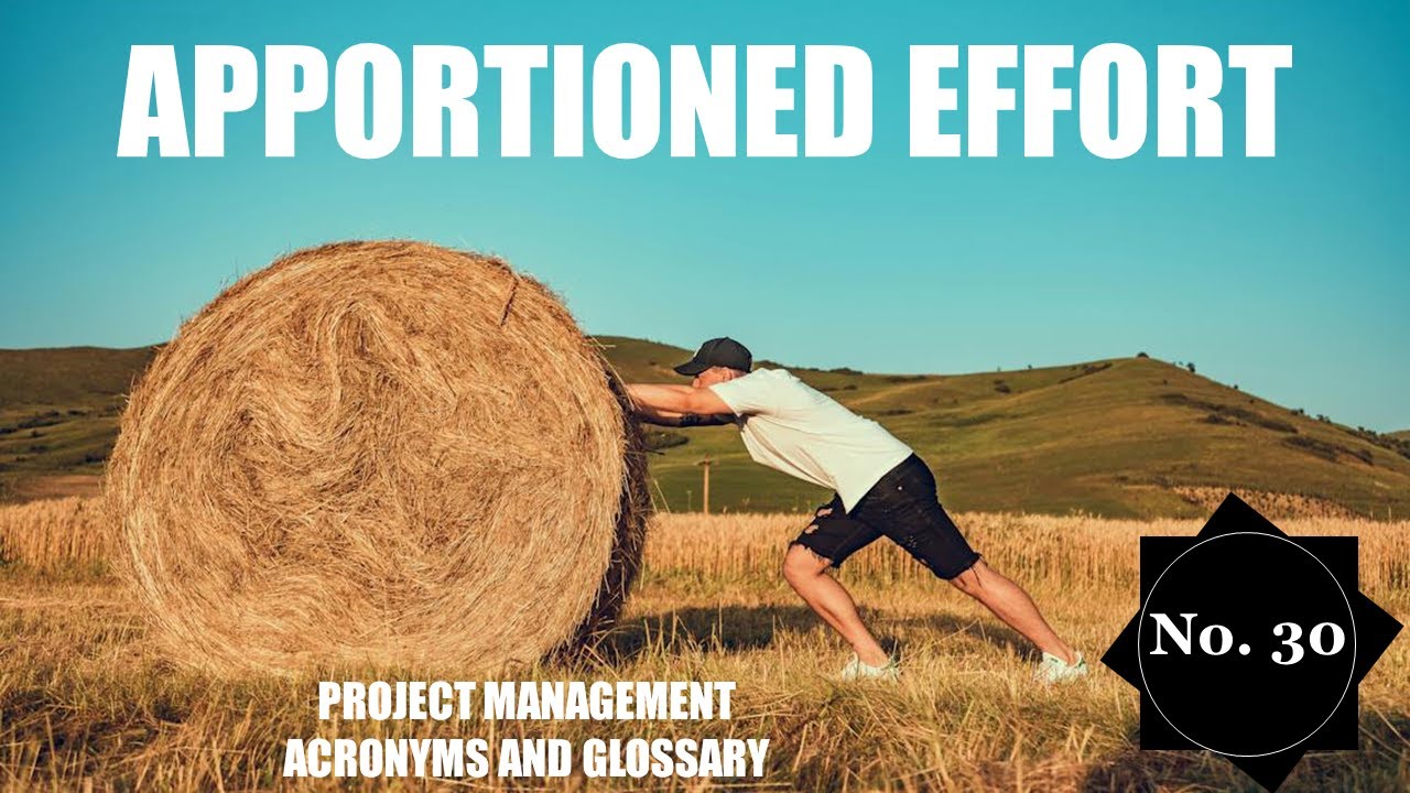 ⏱️ Apportioned Effort|🔄 Project Management Acronyms and Glossary | No ...