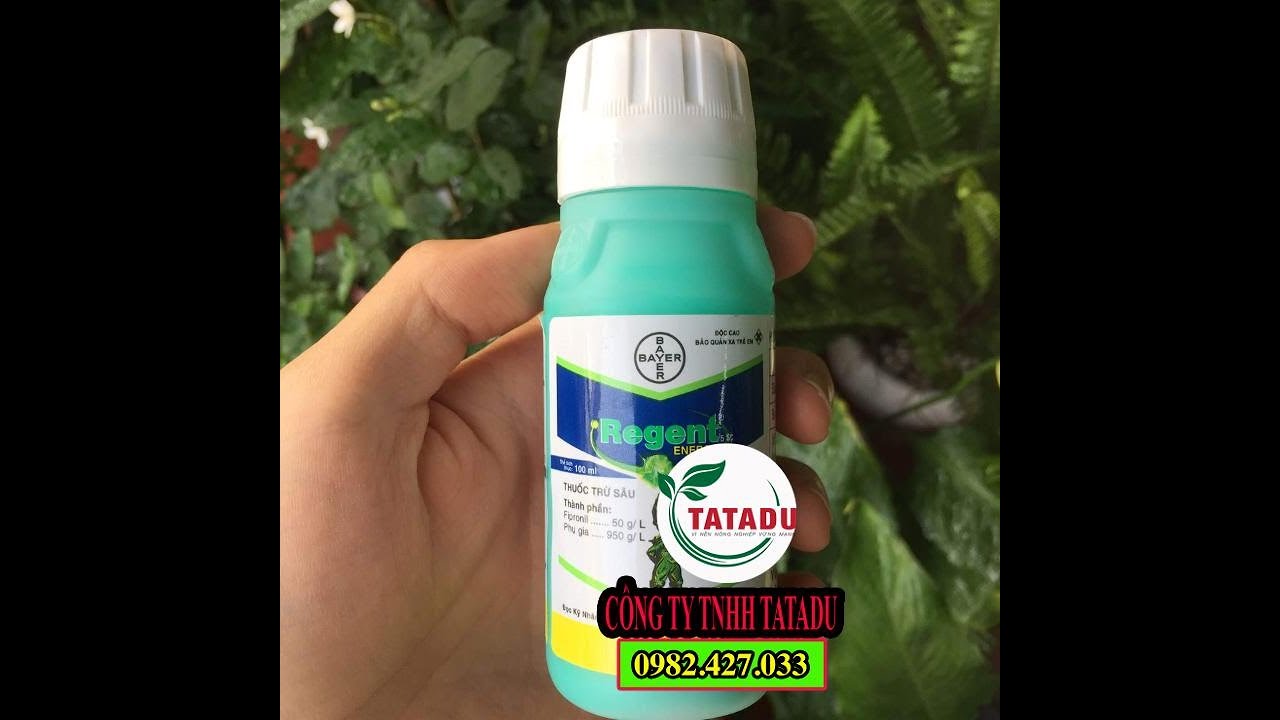 REGENT 5SC – THUỐC ĐẶC TRỊ SÂU ĐỤC THÂN GÂY HẠI CHO CÂY XOÀI - YouTube