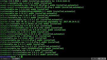12 What Packages are installed on your Debian Linux System