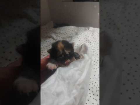 ผลสลากกินแบ่งรัฐบาล วันที่ 1 พย. 2567