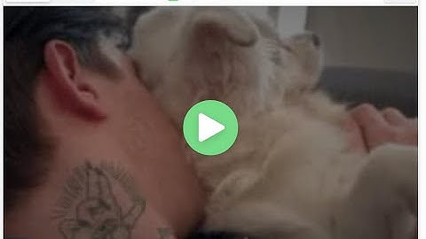 how to make 500+ commands discord bot no coding