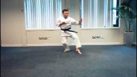 Pinan Yondan Shitoryu