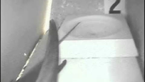 swifts 2014 - July 10th nervous birds enter nest boxes