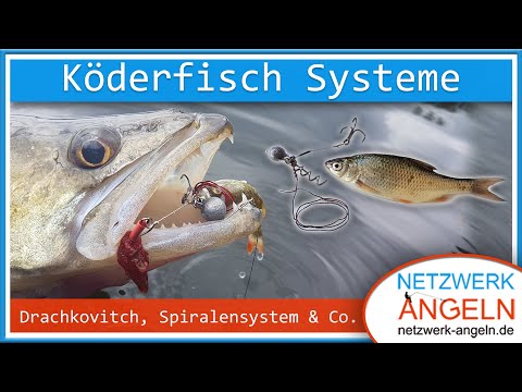 Köderfisch Systeme: Spinnfischen mit Natur pur!