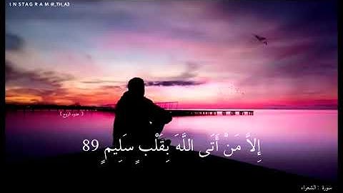 القارئ الشيخ اسلام صبحي | سورة الشعراء | حالات واتس اب قران كريم