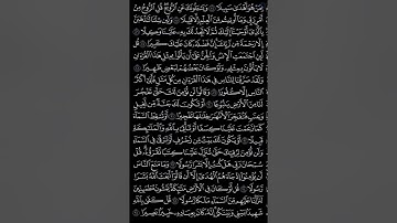 سورة الإسراء | صفحة 291